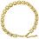 Titanium Hundehalsband Kette 6