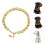 Titanium Hundehalsband Kette 5