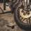 K Stecker Kabelschuh Für Motoren Schwarz 1 6