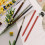 2 Volwassenen School Tekenen Bruin Legering 4