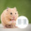 8Stk Hamster Spielbereich Eisen Draht 6