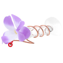 Blumenernährungs-Tools Futterstellen- Für Lila 1