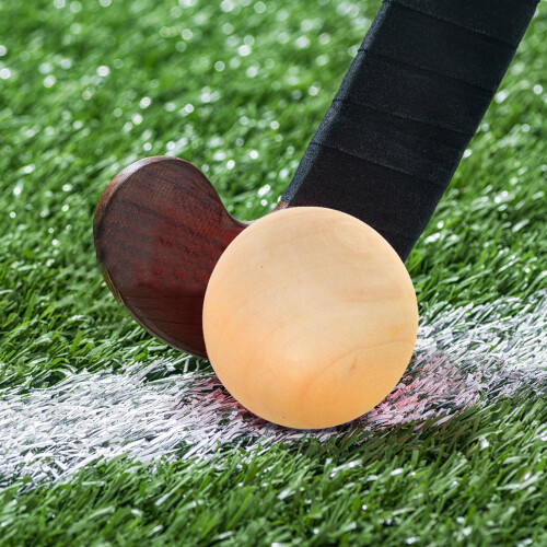Hockeybals Voor Atleten 15-Set 2