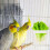 Bird Cage Papageienfutterbehälter Weiß Set 3