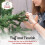 Evre (5ft) EVRE Brunswick Spruce Artificial Christmas Tree 8