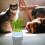 Grass Pflanzgefäß Katzenminze Blau PP 11