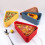 Boîte Silicone Épaisse Pizza Stockage Transport Commode 5