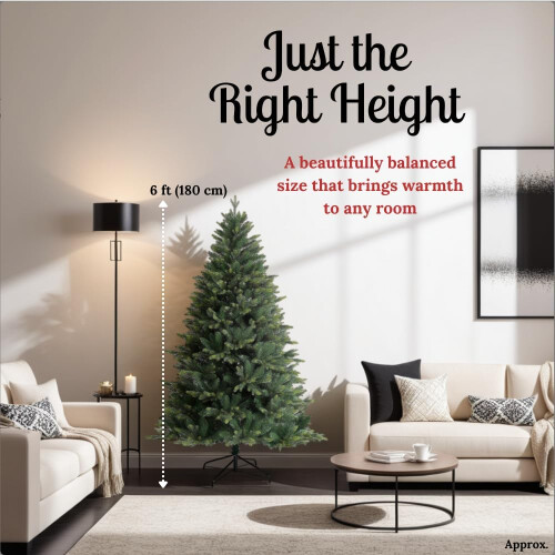 Evre (6ft) EVRE Brunswick Spruce Artificial Christmas Tree 2