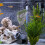 Terrarium Steenversiering Aquarium Inrichting Hars Set 6