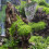 Terrarium Steenversiering Aquarium Inrichting Hars Set 5