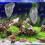 Terrarium Steenversiering Aquarium Inrichting Hars Set 2