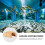 Fish Ornamenten Aquarium Tanks Steentjes Betta 10