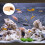 Fish Ornamenten Aquarium Tanks Steentjes Betta 2