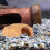 Fish Ornamenten Aquarium Tanks Steentjes Betta 4