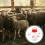 Lamb Bottle Feeder Verdicktes Kunststofftier 1 4
