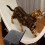 Cat Scratch Pad Laufrad Zubehör Grau 1 Satz 5