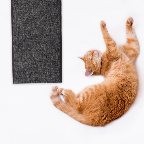 Cat Scratch Pad Laufrad Zubehör Grau 1 Satz 2