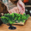 Zen Japanische Bonsai Künstliche 3
