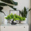 Zen Japanische Bonsai Künstliche 10