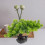 Zen Japanische Bonsai Künstliche 11