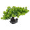 Zen Japanische Bonsai Künstliche 9