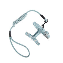 Kitten Kat Halter Leiband