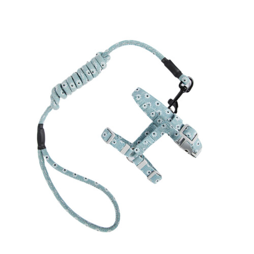 Kitten Kat Halter Leiband