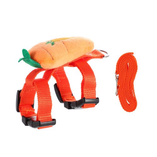 Set Leine Seil Laufset Geschirr Rot Polyester