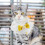 Cat Halsbänder Polyester Gelb 1 Set Für 11