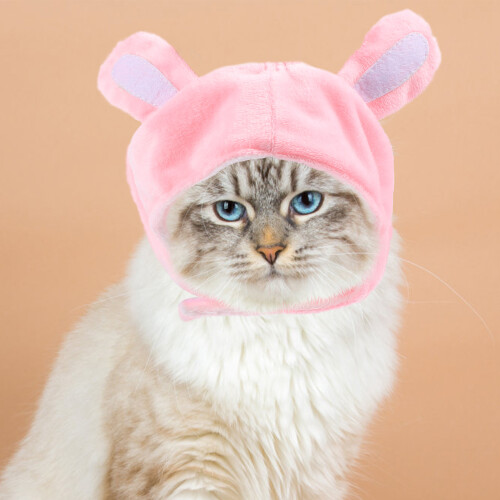 Kitten Katzenhut Plüsch Rosa 1 Set 2