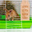 Bunny Feeder Einzigartige Form Aus Holz Khaki 7