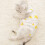 1St Katzen Kastrations Bekleidung Set 7