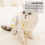 1St Katzen Kastrations Bekleidung Set 11