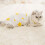 1St Katzen Kastrations Bekleidung Set 8
