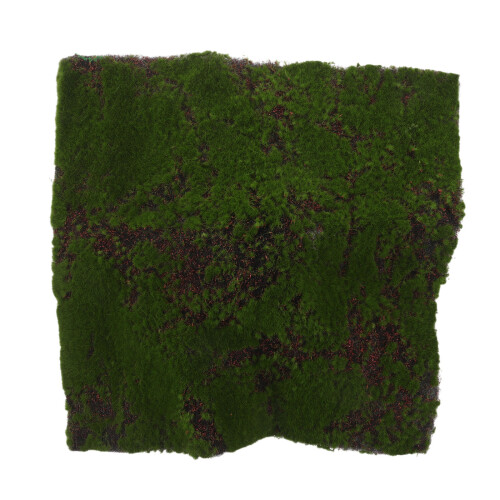 Kunstmos Te Verven 1 Set Plastisch Groen