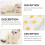 1St Katzen Kastrations Bekleidung Set 2