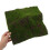 Kunstmos Te Verven 1 Set Plastisch Groen 4