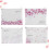 1 Set 4Stk Rosa Transparenter Reißverschlussbeutel 9