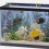 2 Sets Box Betta Box Haushaltsaquarium Aus 2