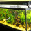 2 Sets Box Betta Box Haushaltsaquarium Aus 5