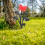 4 Kunststoffblumen Für Gartenzäune 6
