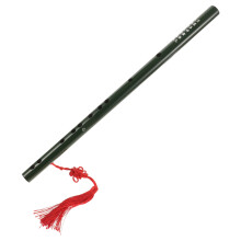 Dizi Low Whistle Anfänger Klassisches Musikinstrument Grün