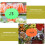 40 Fluorescerende Explosion Stickers Creatieve Prijslabels 6