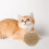 1Pallara Per Gatti Sisal Resistente Per Giochi Interattivi 4
