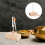 Set Met Resonatorbox En Klopper 6