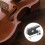 Cello Viool Oefenen Accessoires Strijkstok Frogschroef 8