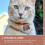 4 Metalen Koeibel Antieke Van 11