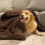 Pets Decken Pet Plüsch 1Stk Indoor Gebrauch 3