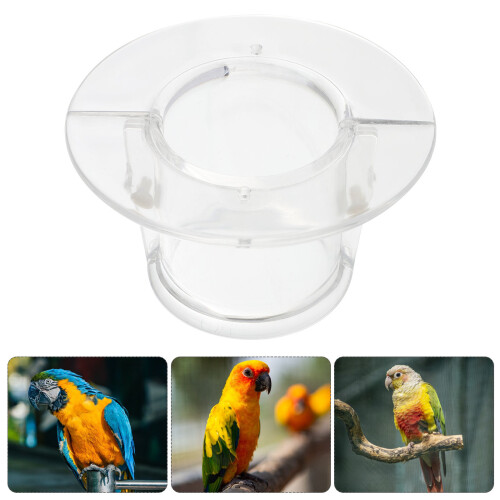 Soft Vogelhalskragen Für Afrikanische Graupapageien Anti-Pulling 2