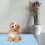 Pet Plush Polyester Rutschfeste Matte Für Katzen 11